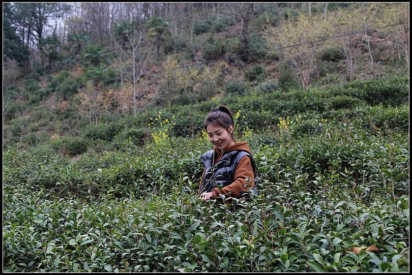 e07cc709ad25a0c24054ea2962d20e6f.jpg nEO_IMG_图片7.jpg