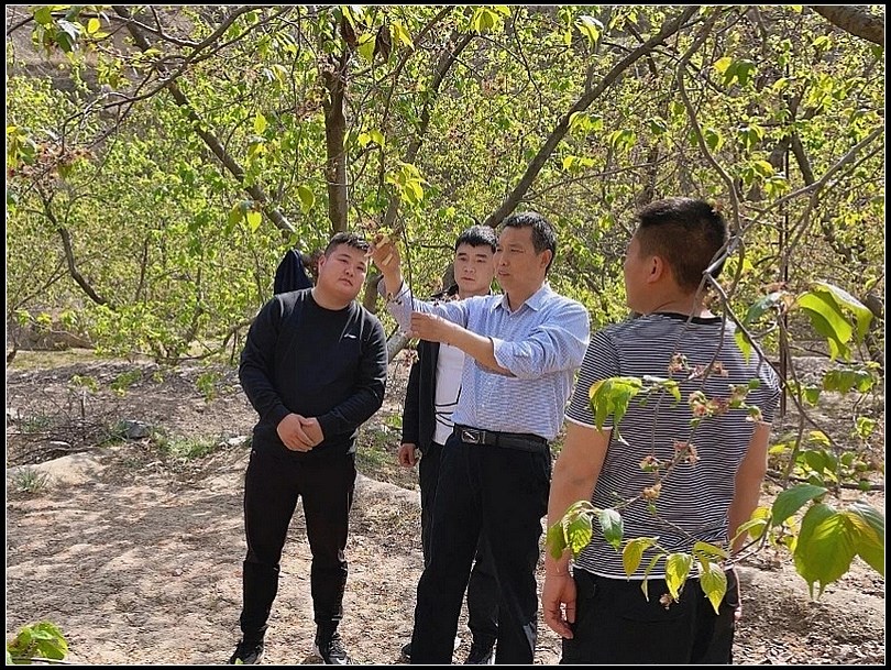 e10f5a1ee5b8e30bdcf1d9c0344f9ec3.jpg nEO_IMG_IMG_20210317_213331.jpg