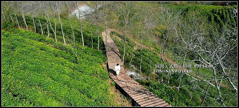 edcec018e7da93466131a485d24de08f.jpg nEO_IMG_图片9.jpg