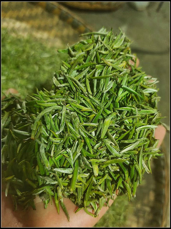 f455a52a8bf43db0a255ef30d8827944.jpg nEO_IMG_图片2.jpg