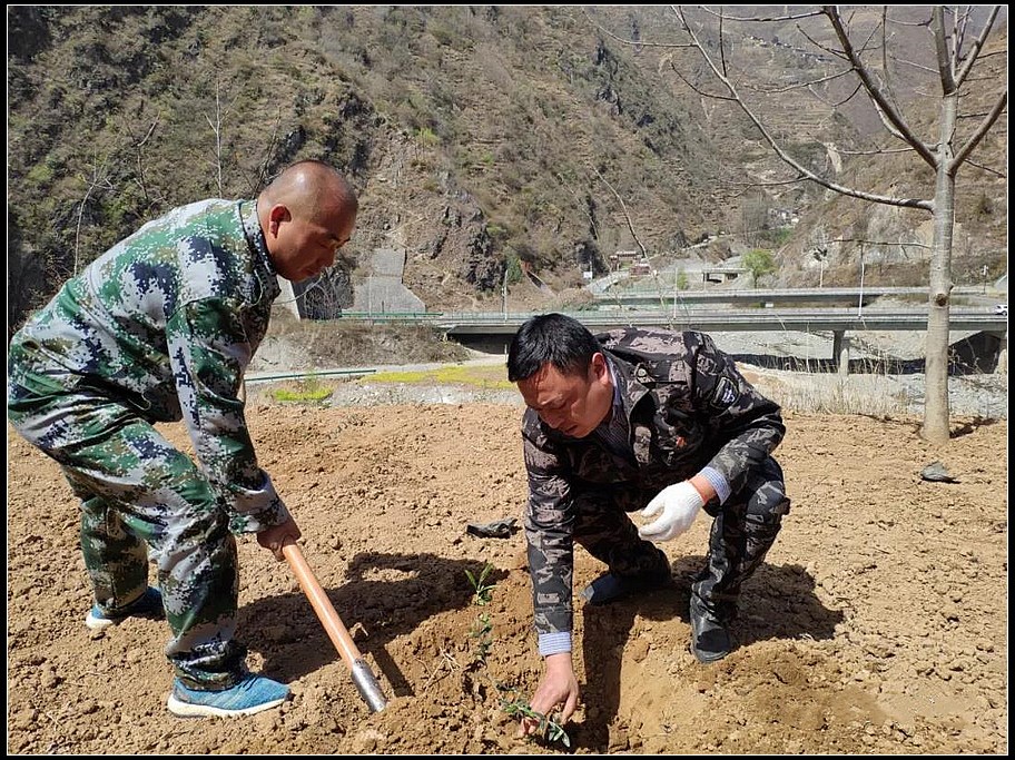 57b43fdb4512995f20ea677224d6e478.jpg nEO_IMG_图片3.jpg