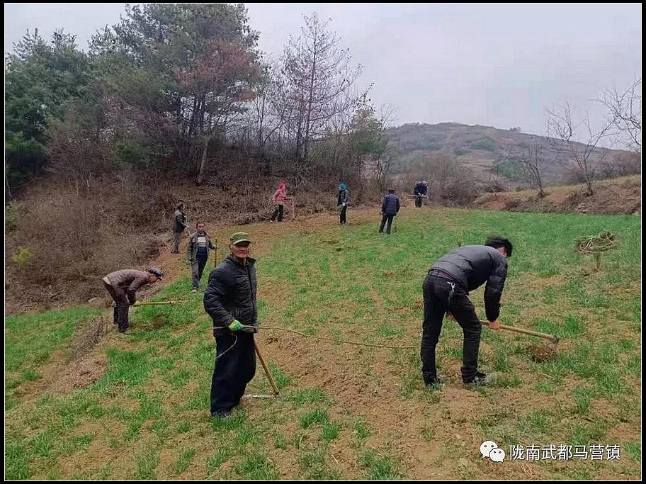 3897709a441a3dc25f373fe5715803d2.jpg nEO_IMG_微信图片_20210325215509.jpg