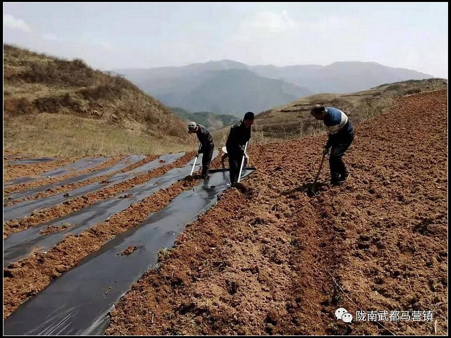 9daaa7aa8640ccd2821ac79ef71790b0.jpg nEO_IMG_微信图片_20210325215545.jpg