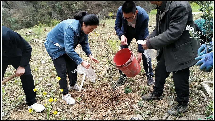 e46e92de2611304411498a06344d8ccf.jpg nEO_IMG_微信图片_20210325214608.jpg