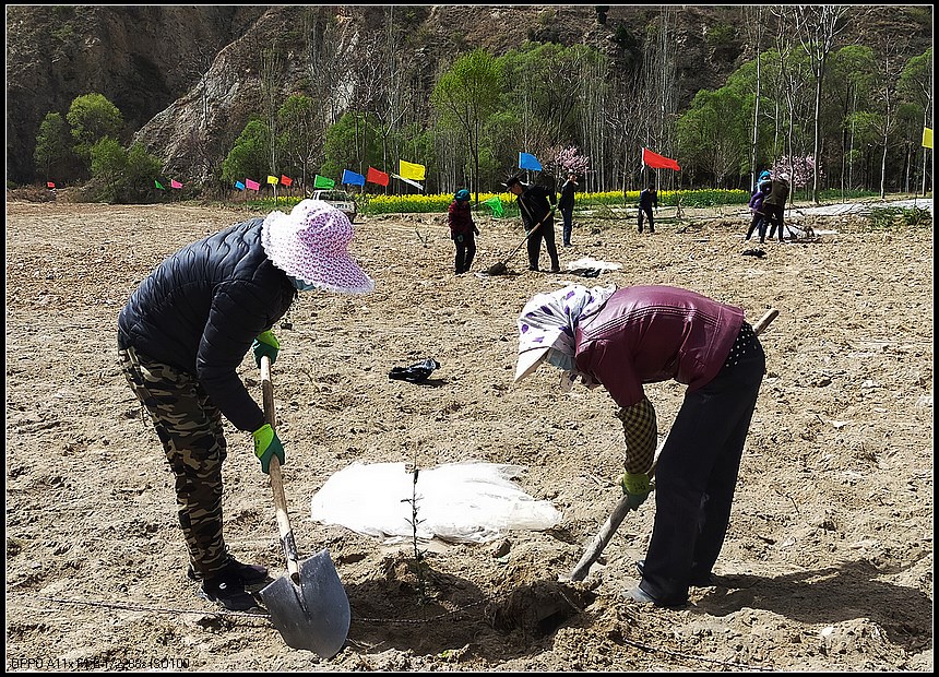 04d96b3223044c284a2ae730f33e9e30.jpg nEO_IMG_5_副本.jpg