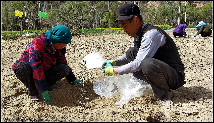 78c77281f062852273e5d9bc12afa32e.jpg nEO_IMG_4_副本.jpg