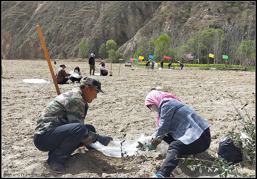 fe74829617e0be0f23f7f0bec425c72b.jpg nEO_IMG_3_副本.jpg