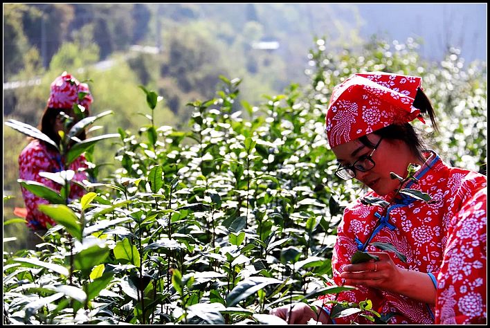 14eddaf56ed103a205c1592686fa8730.jpg nEO_IMG_图片13.jpg