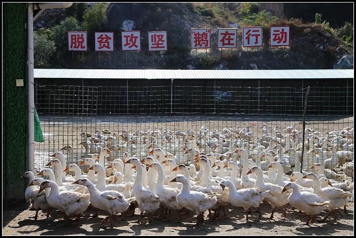 28105ec28b7433048407e5dd5bb57b3b.jpg nEO_IMG_图片6.jpg