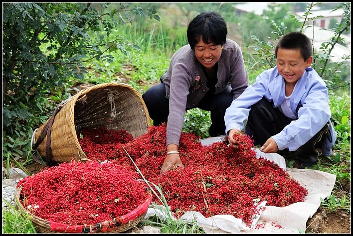 63903581ed582577c6bd399147365020.jpg nEO_IMG_图片2.jpg