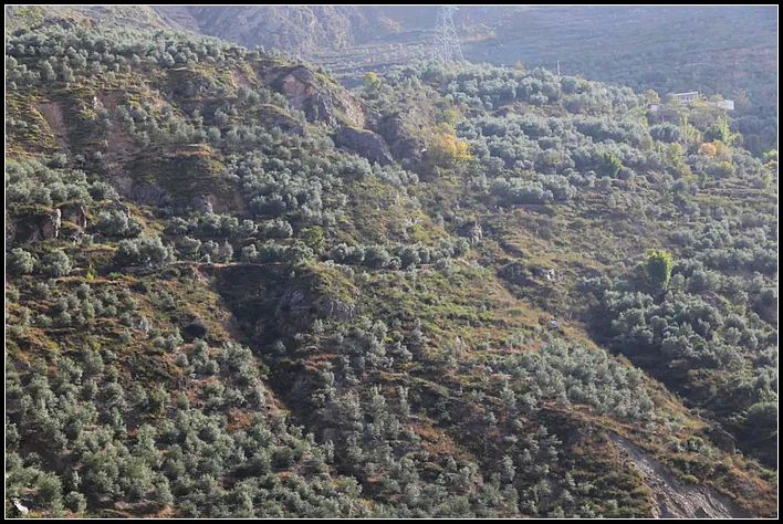 67293880eb7cf63b47adaf967aedec63.jpg nEO_IMG_图片5.jpg