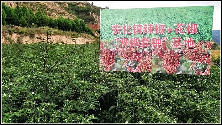 6a72754559f5474c63fe0cc4529d664f.jpg nEO_IMG_图片4.jpg