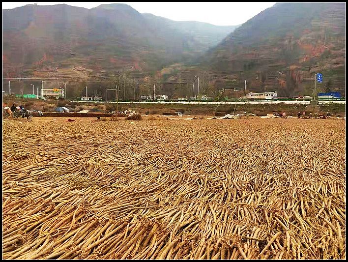 8ea0ba8eec94db761541cf3cf3472cac.jpg nEO_IMG_图片14.jpg