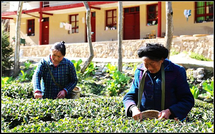 cc9b67fa98bcd304bef7ac84a8f8e200.jpg nEO_IMG_图片8.jpg