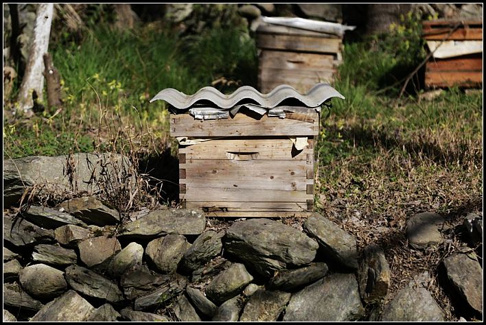 d095db1972288a0144bf13d27515c171.jpg nEO_IMG_图片18.jpg