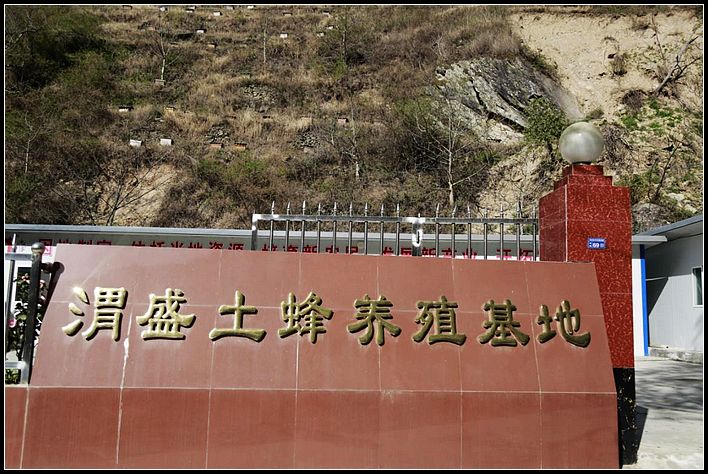 e18893685e55fd009012df8ef9758f46.jpg nEO_IMG_图片17.jpg