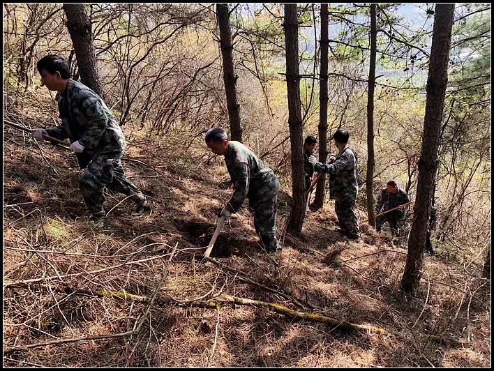 48596f6b4cebb2a930f259a5790d28ac.jpg nEO_IMG_图片1.jpg