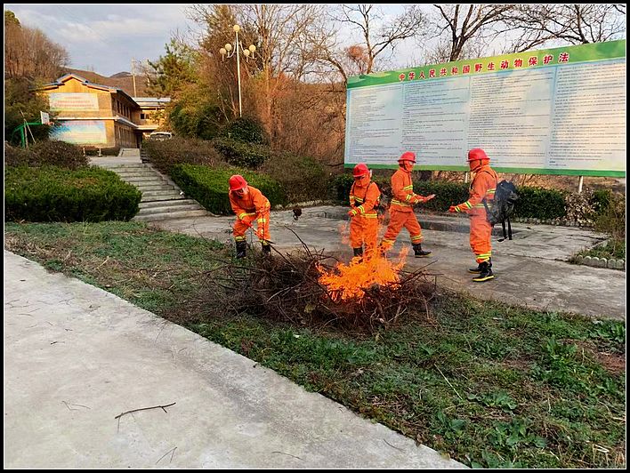 827abf84503d545a7fb7dc18d4f2534d.jpg nEO_IMG_图片4.jpg