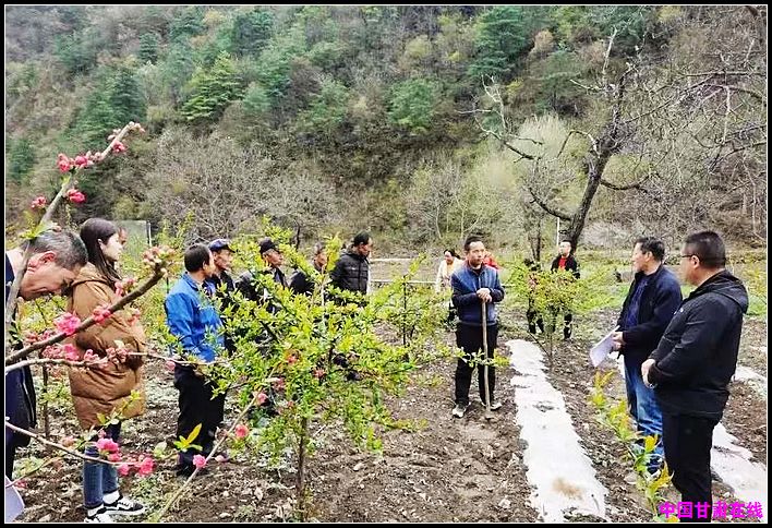 7588c34319412df156c2e1da130a9433.jpg nEO_IMG_图片11.jpg