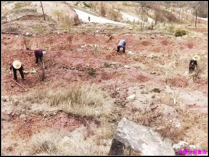 96b666bd1597b29620fbefd8e7bcb2c4.jpg nEO_IMG_图片20.jpg