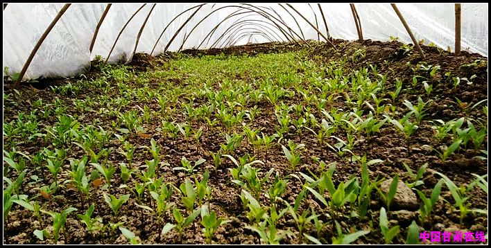 d0d8e2419fbe71d75a7cb64164dcf9a7.jpg nEO_IMG_图片7.jpg