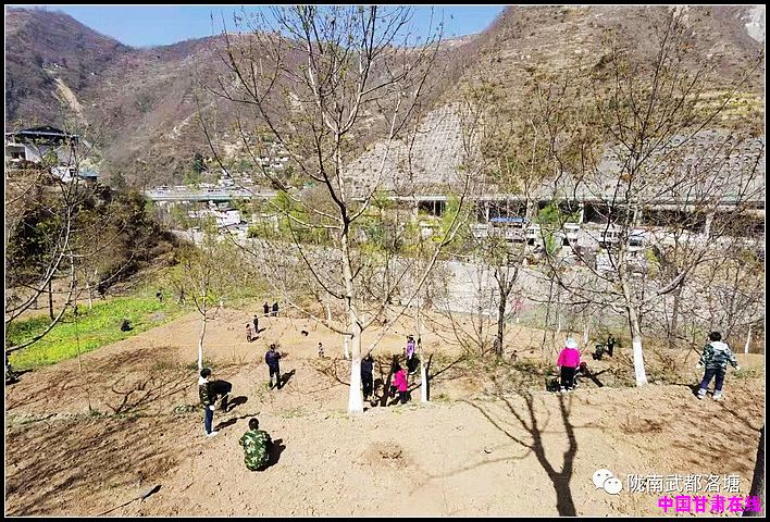 e4ee454f4d7f4b0a5e71c4360a4864f1.jpg nEO_IMG_图片3.jpg