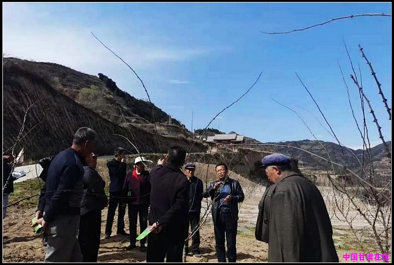 e7124e758c28ae26b89d5a3548df0c76.jpg nEO_IMG_图片4.jpg