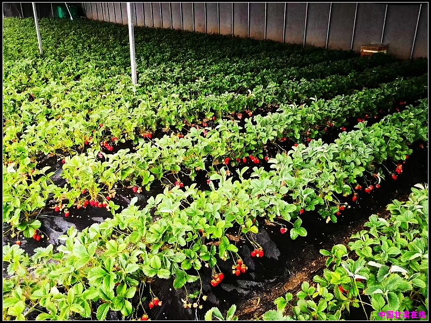 219468c2739a08af2bf5295abd993a25.jpg nEO_IMG_图片20.jpg