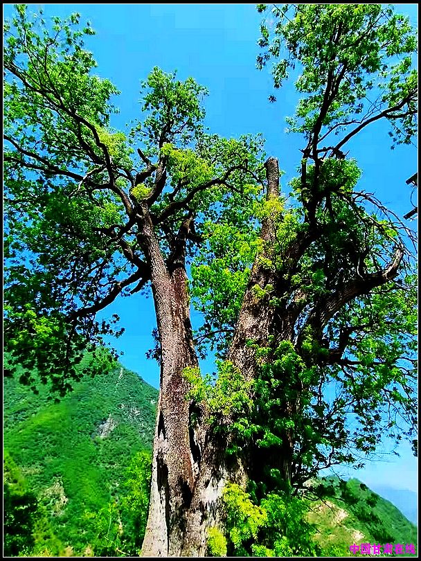 1bbaa3098a3e5733327b99935cf0306d.jpg nEO_IMG_图片1.jpg