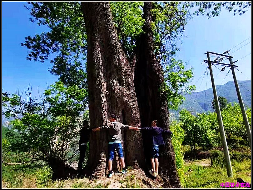 5040eff97c14f1e81229af5c31840d34.jpg nEO_IMG_图片3.jpg