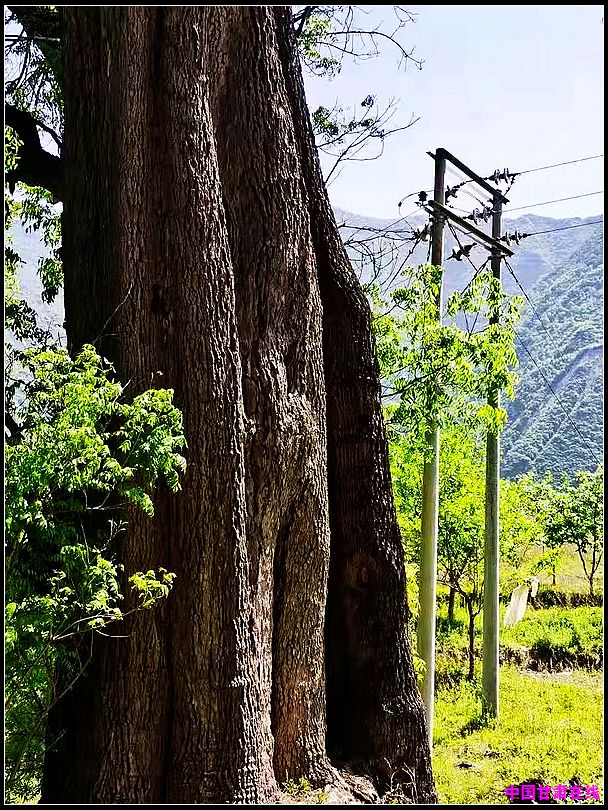 c0ee3835e4060786c51ae23bb21aee37.jpg nEO_IMG_图片2.jpg