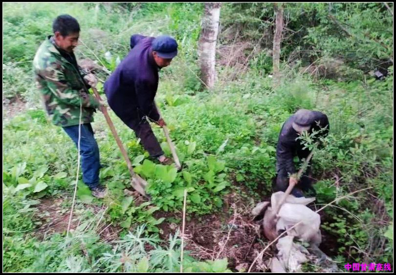 2e8889694395c0dfde2fcb8fecdd030a.jpg nEO_IMG_图片3.jpg