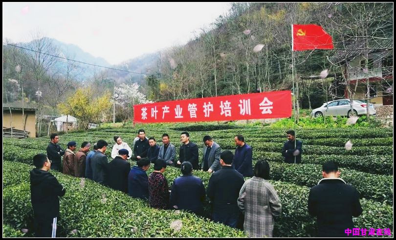 74c55c1dc3468c6ad510bea5b5cb919f.jpg nEO_IMG_图片2.jpg