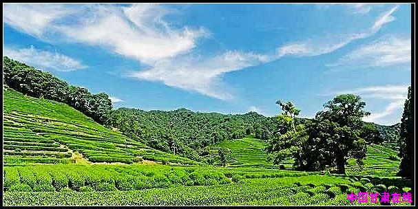 a738155251b9c02a7c9fff642050b093.jpg nEO_IMG_图片3.jpg