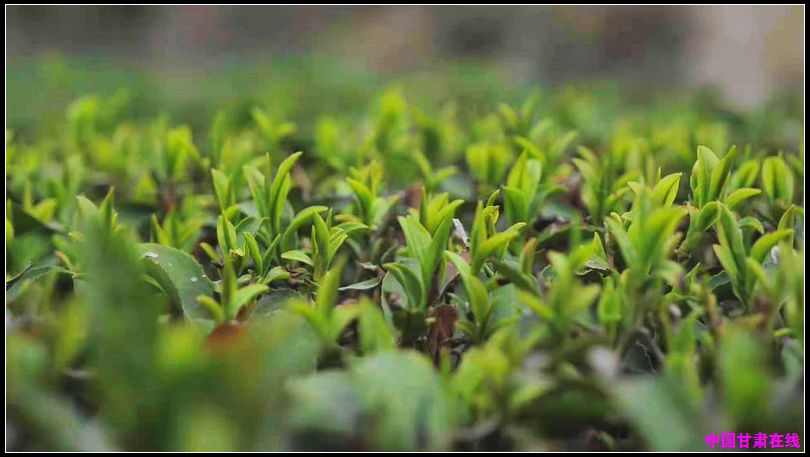 c5a2c9ae4cedd82c98707f08bbe49433.jpg nEO_IMG_图片4.jpg