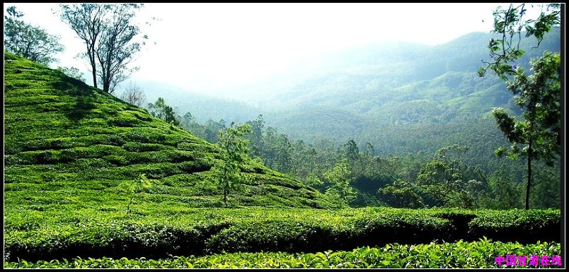 e8f279371d6c6ddfa81191dd9aab087d.jpg nEO_IMG_图片5.jpg