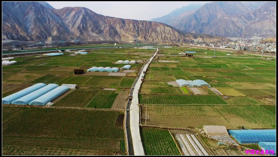 b1952cd54720d83d373a78cc3ca164d1.jpg nEO_IMG_1.jpg