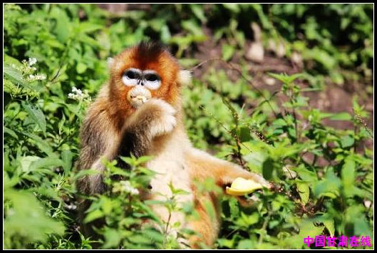 6aa46e7bbbadb26ae0b087ada9e99fa5.jpg nEO_IMG_5.jpg