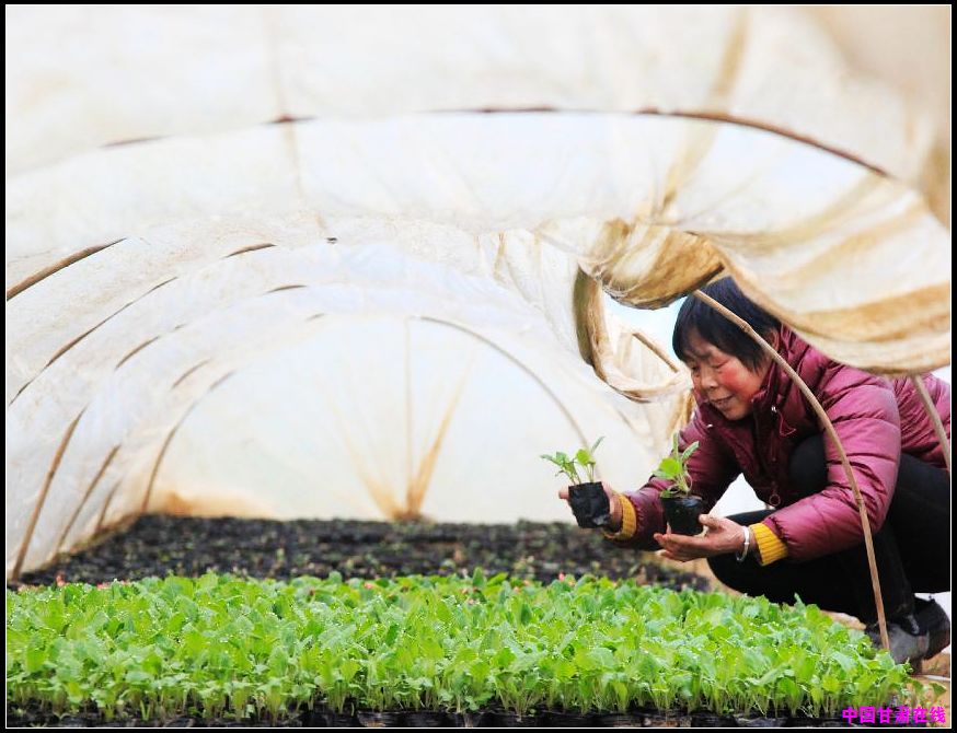 cdd263022a93adeaabb74ef7691ce86e.jpg nEO_IMG_图片3.jpg