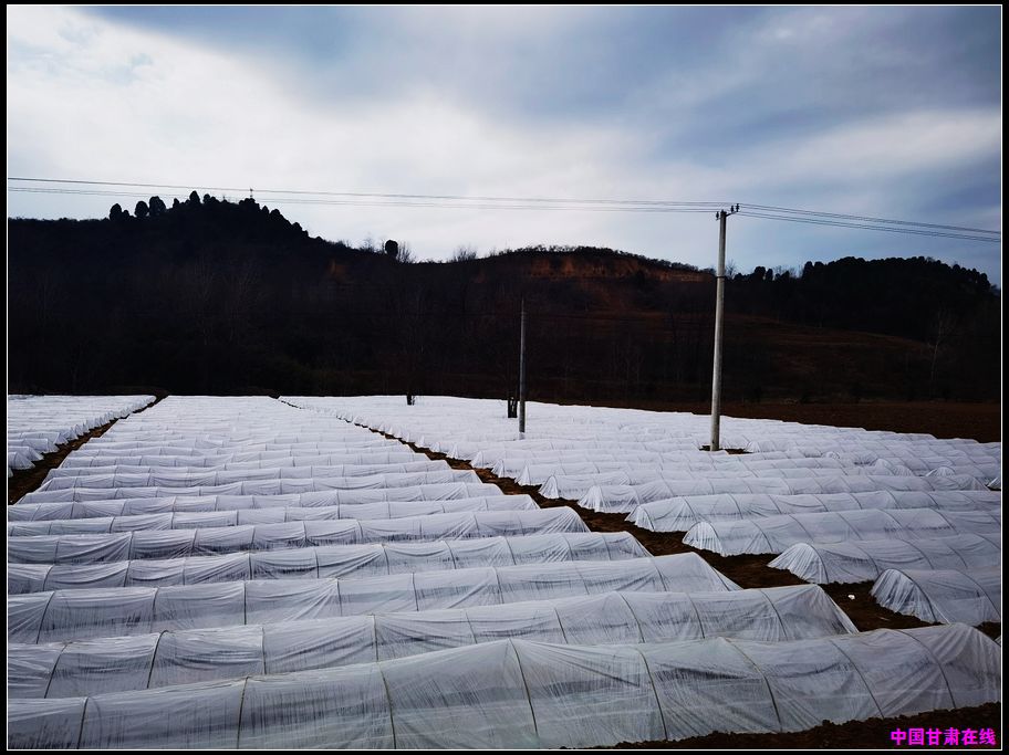 3550851c8384c591ff0c91635de23a9e.jpg nEO_IMG_图片13.jpg