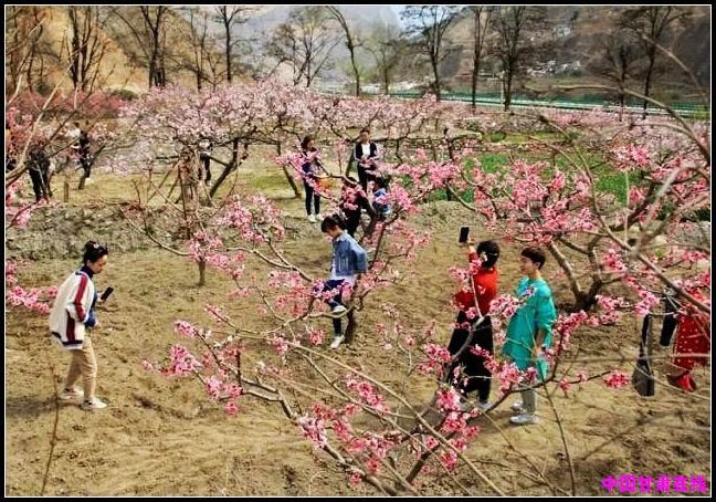 88856fa3f4a3c3926e3b3cc8c1497112.jpg nEO_IMG_图片1.jpg