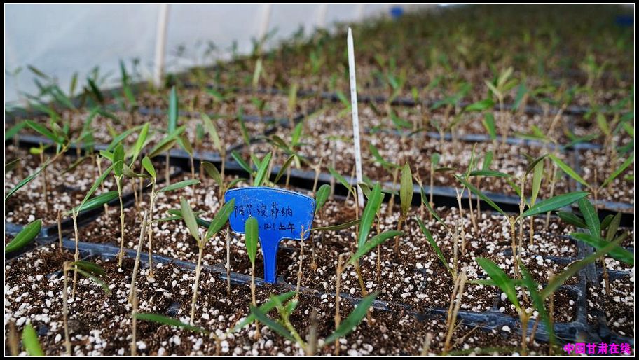 1aea7dea54576b1210aaa172a523389a.jpg nEO_IMG_图片3.jpg