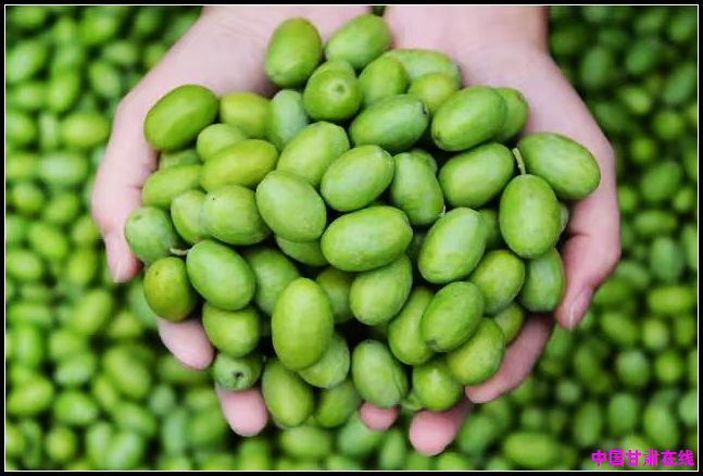 647b7a5ef8afa1f3d72e3f40c350c1db.jpg nEO_IMG_图片5.jpg