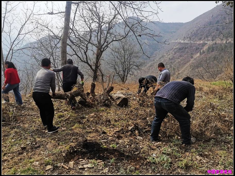 bc38d544df68e497359289719fd7072e.jpg nEO_IMG_图片21.jpg