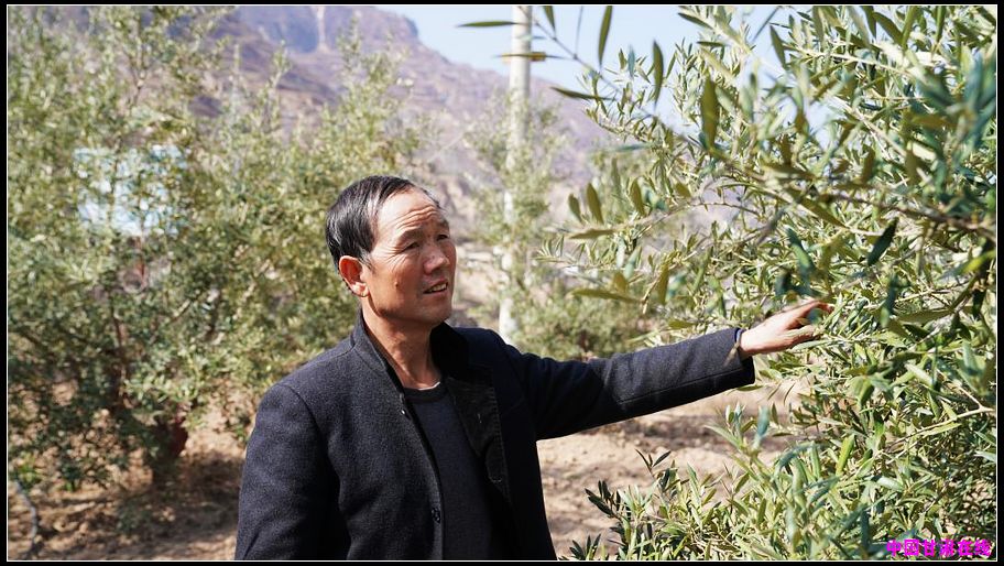 e2509b3c4d4f9a45afafeaebdfee8770.jpg nEO_IMG_图片2.jpg