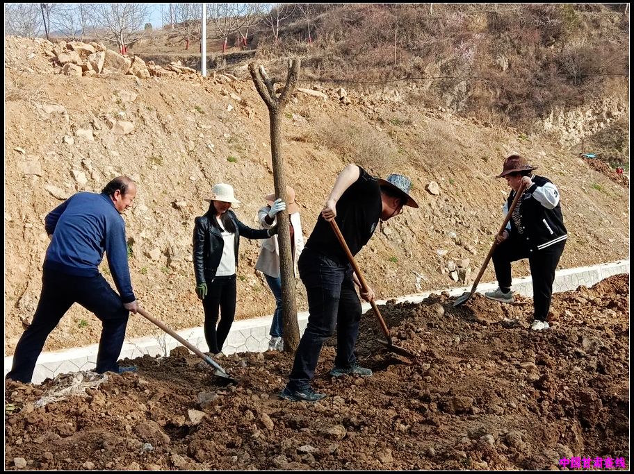 f3954c1edca98163711fcd5a754a7c36.jpg nEO_IMG_图片17.jpg