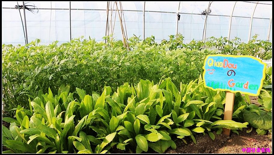 311743fe46eb6af1ad6c48cc15376266.jpg nEO_IMG_图片10.jpg