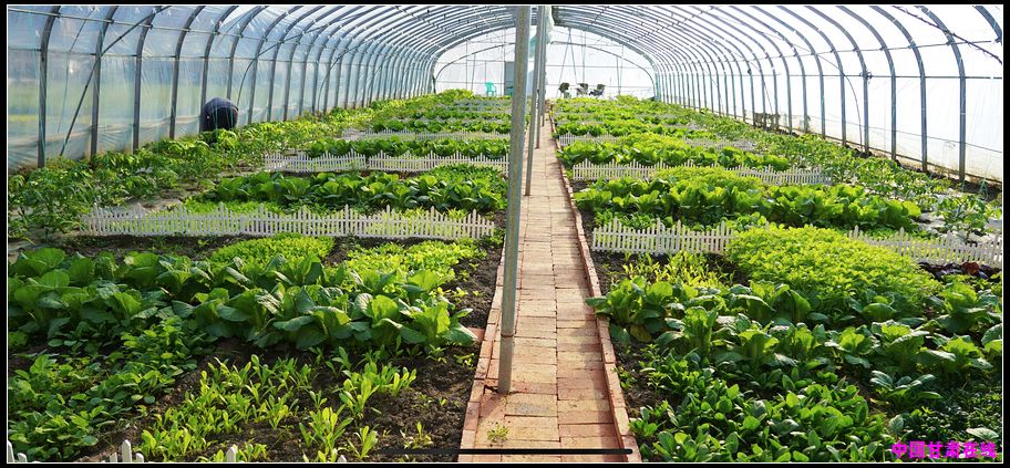 6862c9a0fa566e476d2f7a10d1a9591d.jpg nEO_IMG_图片9.jpg