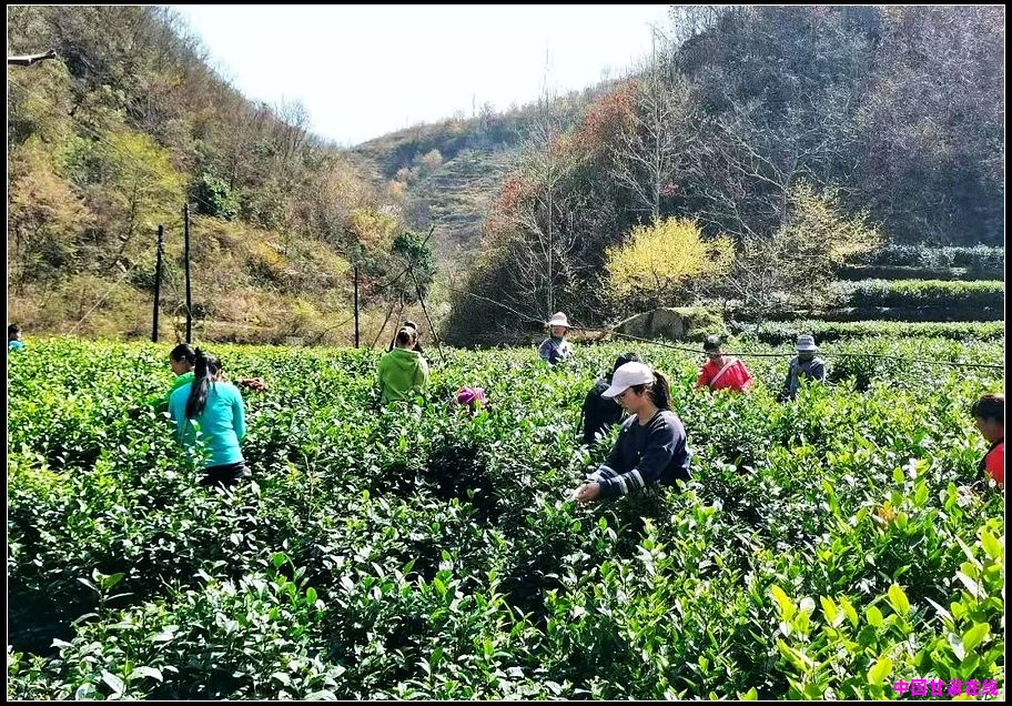 10aa32187a79e07a87d11ee03b37e835.jpg nEO_IMG_图片3.jpg