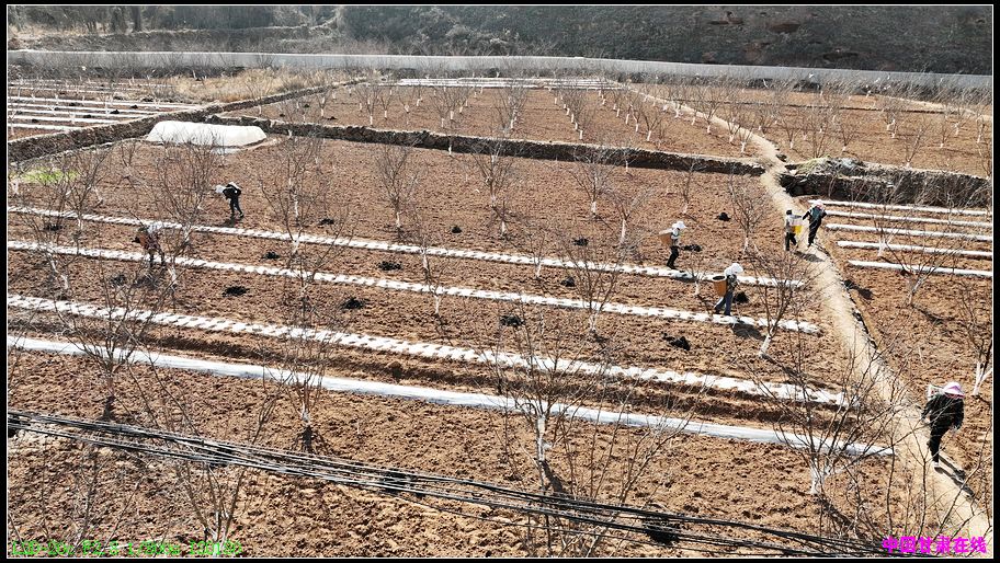 5527d58e80e99e4c22456379e1c3eecf.jpg nEO_IMG_图片2.jpg